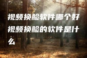 视频换脸软件哪个好视频换脸的软件是什么 | ae插件合集
