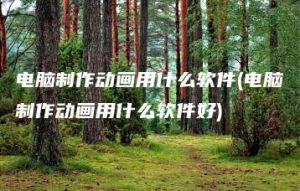 电脑制作动画用什么软件(电脑制作动画用什么软件好) | ae插件合集