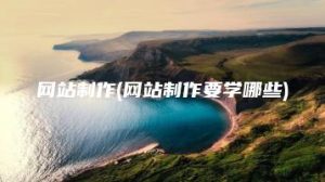 网站制作(网站制作要学哪些) | ae插件合集