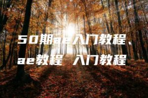 50期ae入门教程、ae教程 入门教程 | ae插件合集