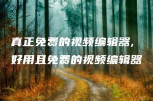 真正免费的视频编辑器,好用且免费的视频编辑器 | ae插件合集