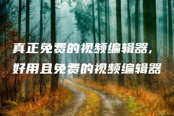 真正免费的视频编辑器,好用且免费的视频编辑器 | ae插件合集