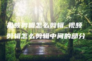 视频剪辑怎么剪辑_视频剪辑怎么剪辑中间的部分 | ae插件合集
