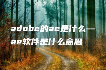 adobe的ae是什么—ae软件是什么意思 | ae插件合集