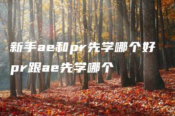 新手ae和pr先学哪个好 pr跟ae先学哪个 | ae插件合集