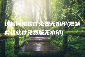 视频剪辑软件免费无水印(视频剪辑软件免费版无水印) | ae插件合集