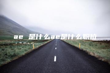 ae 是什么ae是什么职位 | ae插件合集