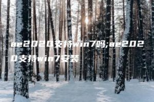 ae2020支持win7吗;ae2020支持win7安装 | ae插件合集