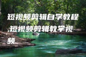 短视频剪辑自学教程,短视频剪辑教学视频 | ae插件合集