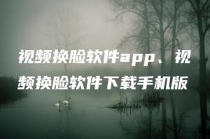视频换脸软件app、视频换脸软件下载手机版 | ae插件合集