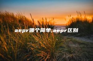 aepr哪个简单;aepr区别 | ae插件合集