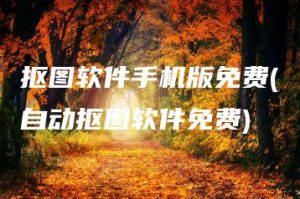 抠图软件手机版免费(自动抠图软件免费) | ae插件合集