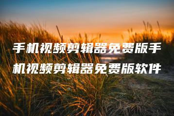 手机视频剪辑器免费版手机视频剪辑器免费版软件 | ae插件合集