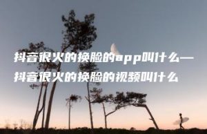 抖音很火的换脸的app叫什么—抖音很火的换脸的视频叫什么 | ae插件合集