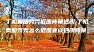 手机美图秀秀抠图背景透明,手机美图秀秀怎么抠图变成透明背景 | ae插件合集