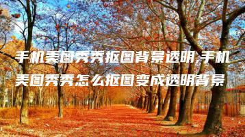 手机美图秀秀抠图背景透明,手机美图秀秀怎么抠图变成透明背景 | ae插件合集