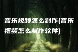 音乐视频怎么制作(音乐视频怎么制作软件) | ae插件合集