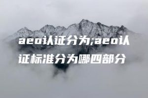 aeo认证分为;aeo认证标准分为哪四部分 | ae插件合集