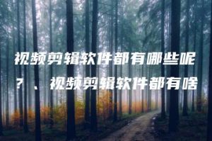 视频剪辑软件都有哪些呢？、视频剪辑软件都有啥 | ae插件合集