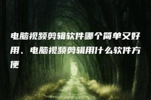 电脑视频剪辑软件哪个简单又好用、电脑视频剪辑用什么软件方便 | ae插件合集