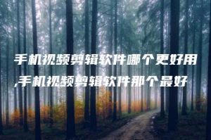 手机视频剪辑软件哪个更好用,手机视频剪辑软件那个最好 | ae插件合集
