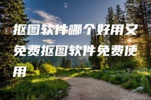 抠图软件哪个好用又免费抠图软件免费使用 | ae插件合集