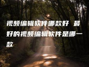 视频编辑软件哪款好 最好的视频编辑软件是哪一款 | ae插件合集
