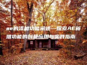 ae的添加功能阐述—探索AE新增功能的创意应用与实践指南 | ae插件合集