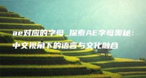 ae对应的字母_探索AE字母奥秘：中文视角下的语言与文化融合 | ae插件合集
