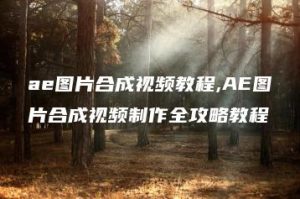 ae图片合成视频教程,AE图片合成视频制作全攻略教程 | ae插件合集