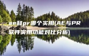 ae和pr哪个实用(AE与PR软件实用功能对比分析) | ae插件合集