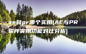 ae和pr哪个实用(AE与PR软件实用功能对比分析) | ae插件合集