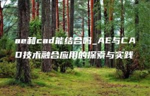 ae和cad能结合吗_AE与CAD技术融合应用的探索与实践 | ae插件合集