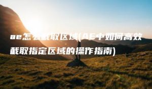 ae怎么截取区域(AE中如何高效截取指定区域的操作指南) | ae插件合集