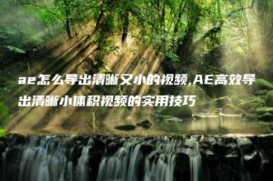 ae怎么导出清晰又小的视频,AE高效导出清晰小体积视频的实用技巧 | ae插件合集