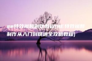 ae特效视频制作教程(AE特效视频制作从入门到精通全攻略教程) | ae插件合集