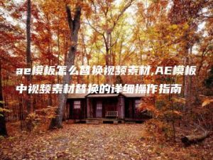 ae模板怎么替换视频素材,AE模板中视频素材替换的详细操作指南 | ae插件合集