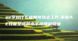 ae学到什么程度可以去工作,掌握AE技能至何种水平可顺利就业 | ae插件合集