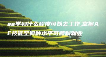 ae学到什么程度可以去工作,掌握AE技能至何种水平可顺利就业 | ae插件合集