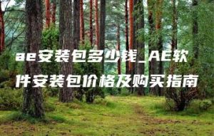ae安装包多少钱_AE软件安装包价格及购买指南 | ae插件合集