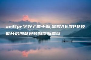 ae和pr学好了能干嘛,掌握AE与PR技能开启创意视频制作新篇章 | ae插件合集