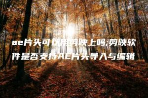 ae片头可以用剪映上吗;剪映软件是否支持AE片头导入与编辑 | ae插件合集