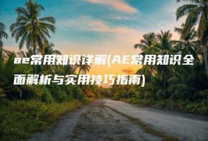ae常用知识详解(AE常用知识全面解析与实用技巧指南) | ae插件合集