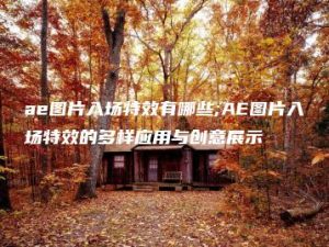 ae图片入场特效有哪些;AE图片入场特效的多样应用与创意展示 | ae插件合集