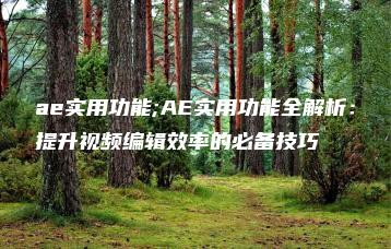 ae实用功能;AE实用功能全解析：提升视频编辑效率的必备技巧 | ae插件合集