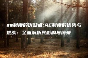 ae制度的优缺点;AE制度的优势与挑战：全面解析其影响与前景 | ae插件合集