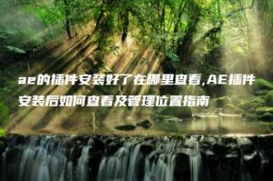ae的插件安装好了在哪里查看,AE插件安装后如何查看及管理位置指南 | ae插件合集