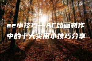 ae小技巧—AE动画制作中的十大实用小技巧分享 | ae插件合集