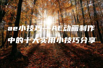 ae小技巧—AE动画制作中的十大实用小技巧分享 | ae插件合集