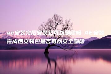 ae安装完后安装包可以删除吗-AE安装完成后安装包是否可以安全删除 | ae插件合集